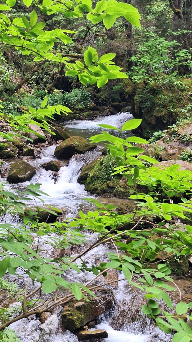  Podcast - Exercice de pleine conscience sur la respiration 