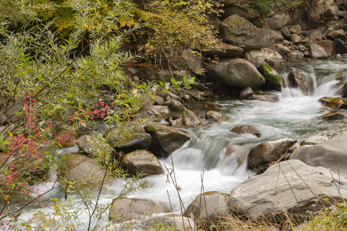 Podcast - Exercice de Sophro Relaxation 